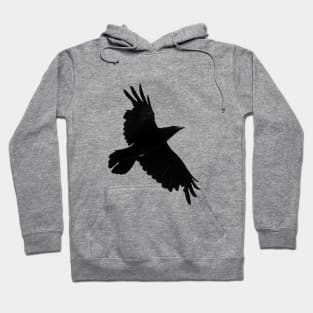 Raven Flight Hoodie